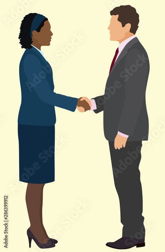 Businessman and Businesswoman Shake Hands