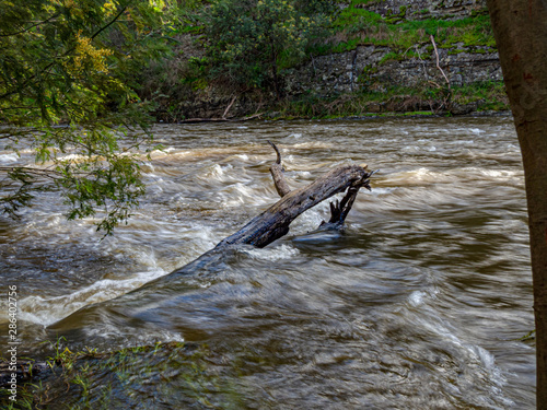 Fast Water Over Log