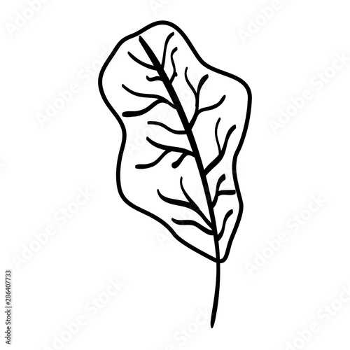 autumn dry leaf nature icon