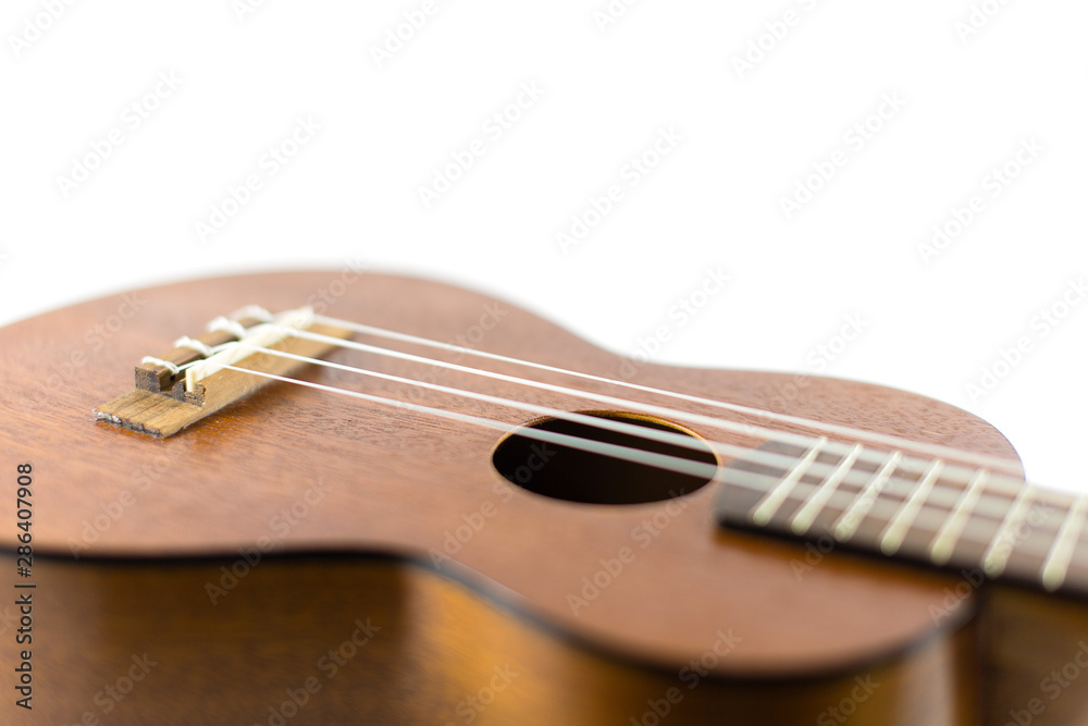 Fototapeta premium Close-up head of dark wooden ukulele music instrument Hawaiian guitar body with selected focus and copy space isolated over white background.