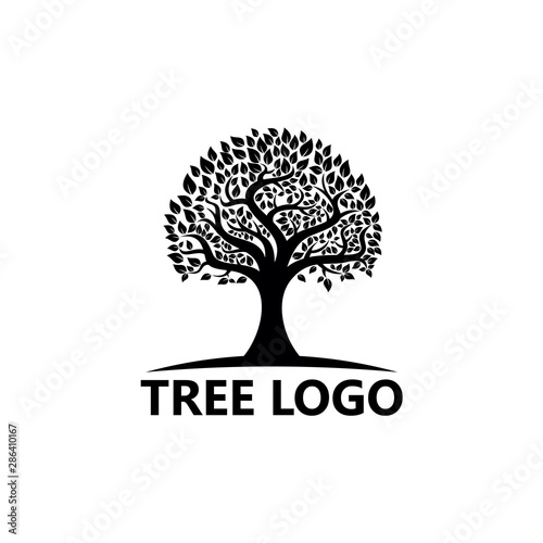 Fototapeta Naklejka Na Ścianę i Meble -  Tree Logo Template Design Vector, Emblem, Design Concept, Creative Symbol, Icon