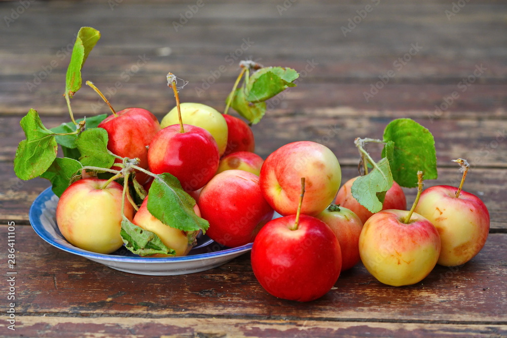 red yellow apples with green foliage in blue saucer and scattered around it on old wooden plank surface red yellow apples with green foliage in blue saucer and scattered around it on old wooden plank surface