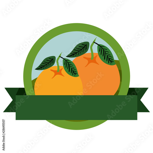 fresh oranges fruits with ribbon seal