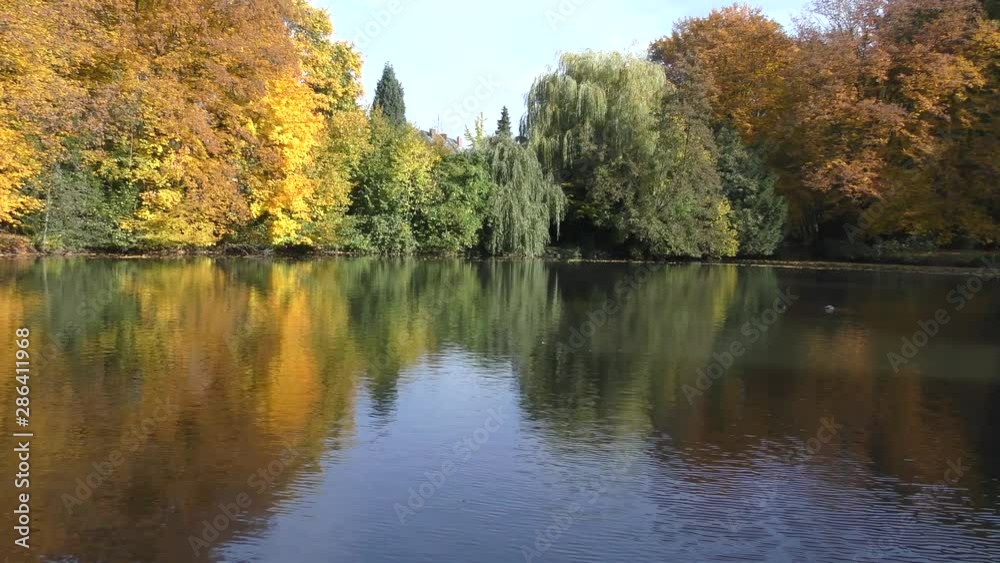 Seasonal autumn colors of trees in a German park, with mirror reflection on lake surface and sunny blue sky as background. Seasonal autumn colors of trees in a German park, with mirror reflection on lake surface and sunny blue sky as background.