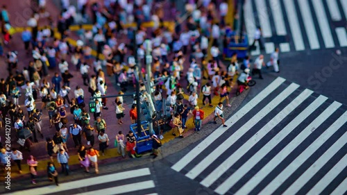 A timelapse of Shibuya crossing in Tokyo high angle tiltshift tilt
