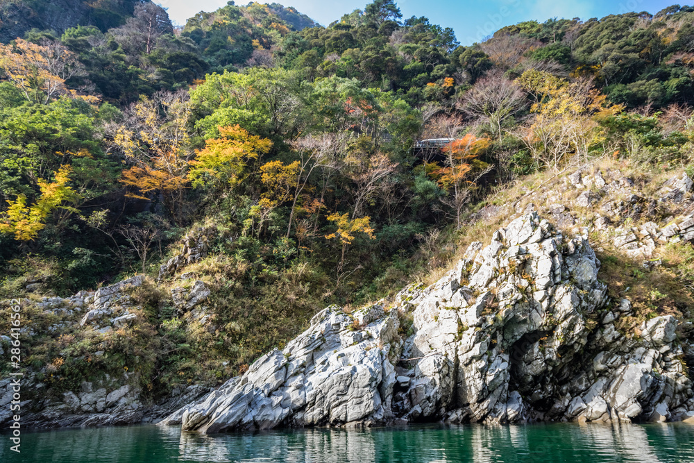 Trees and stone in a wedge shape next to a deep green river with striations and smoothed from water on the Yoshino river in Japan Trees and stone in a wedge shape next to a deep green river with striations and smoothed from water on the Yoshino river in Japan