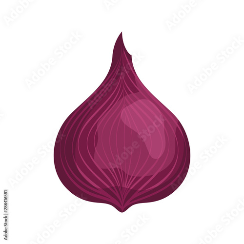 fresh onion vegetable nature icon