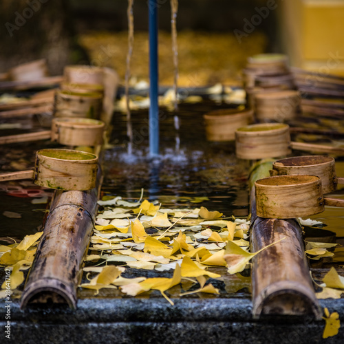 Yellow leaves floating in the water of a washing station at a temple in Japan