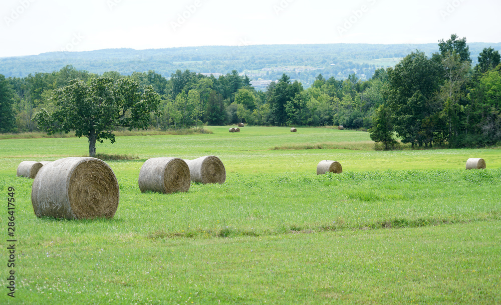 landscape of green farmland with haystack