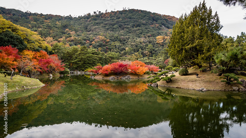 Panorama of bright red and yellow maple trees reflecting in a lake in a Japanese garden