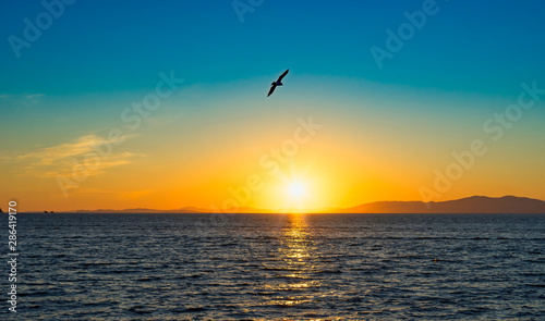 Seascape with sunset views over the Pacific ocean. © vvicca