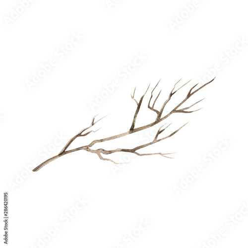 Watercolor painted and inked drawing wood twig, imitation, isolated on white, forest tree, natural tree branch, stick, handmade driftwood forest floor pickups. Rustic watercolor art.