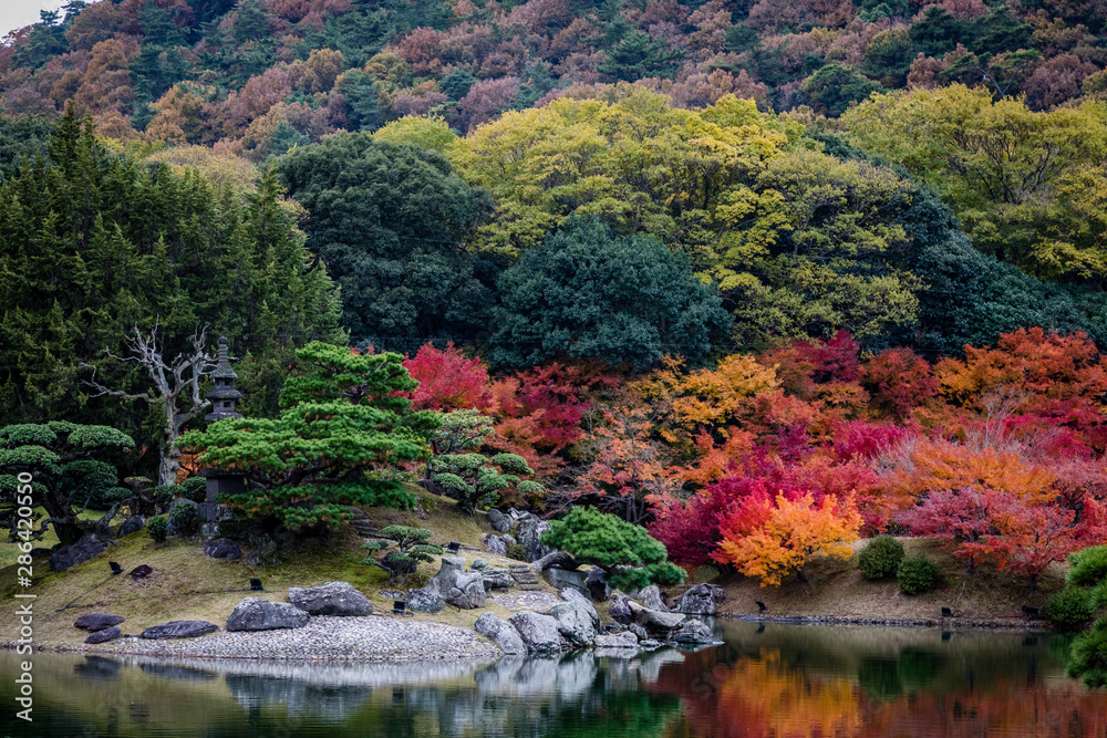 Fototapeta premium Smooth rocks, pruned trees and bright orange and red trees reflect in a smooth lake with a stone lantern hidden on the left side