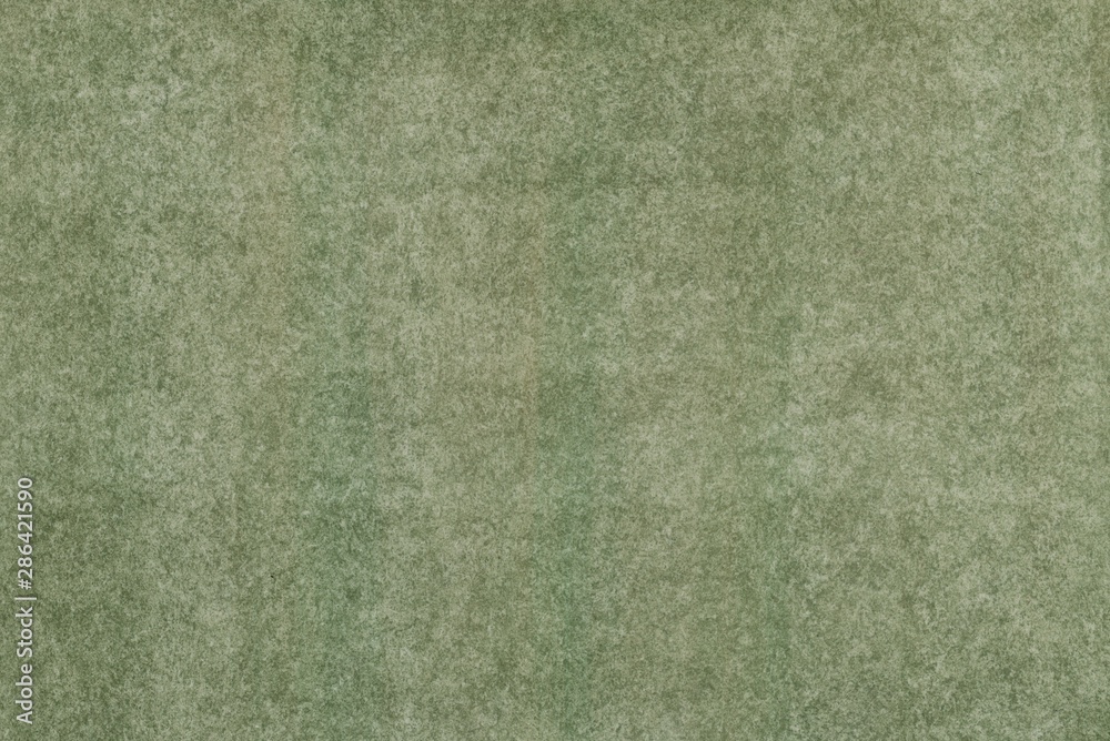 Fototapeta premium abstract green watercolor paper texture