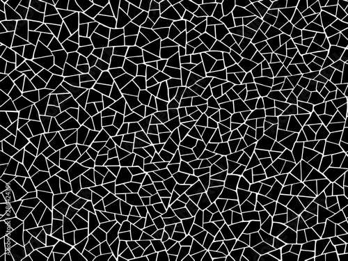 The cracks texture white and black. Vector background.Cracked earth. Structure of cracking. Cracks in dry surface soil texture. shards