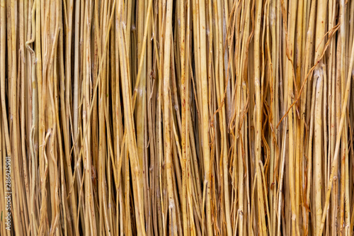 Fototapeta Naklejka Na Ścianę i Meble -  Broom texture, sorghum stems closeup, texture background. Illustration for presentation background fabric ornament or design concept.