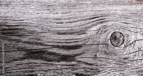 old wood texture closeup