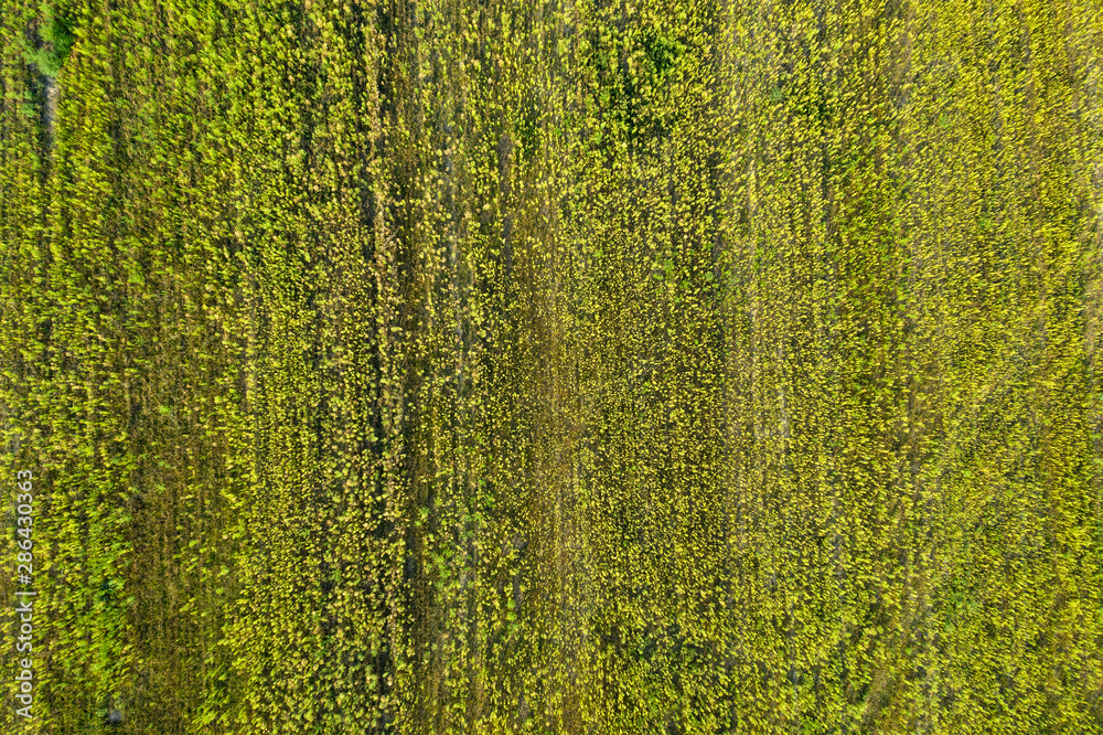 farm field, view from above farm field, view from above