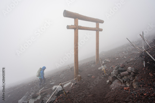 wood toroi pole temple in japan photo