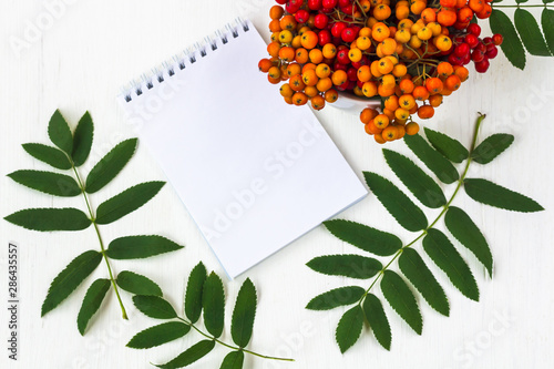 Autumn berries composition. A notebook with space for text in a frame made of bunch rowan on a white wooden rustic background.