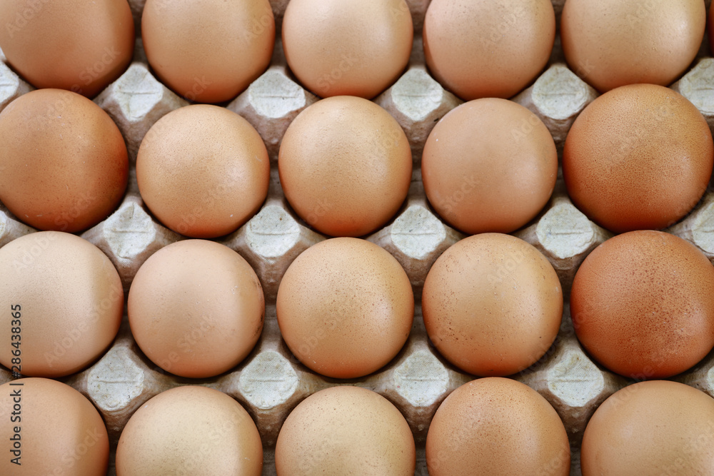 fresh eggs in a paper large tray fresh eggs in a paper large tray