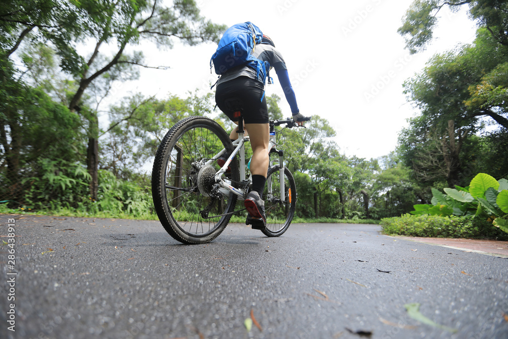 Fototapeta premium Woman cyclist riding mountain bike on tropical rainforest trail