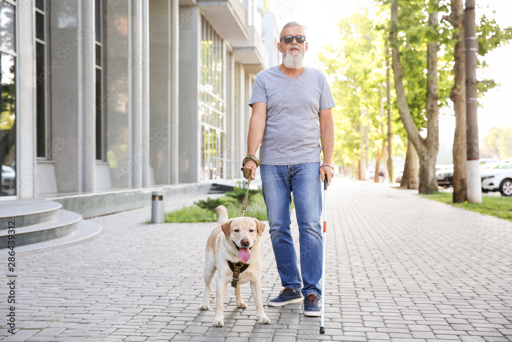 Blind mature man with guide dog outdoors Blind mature man with guide dog outdoors