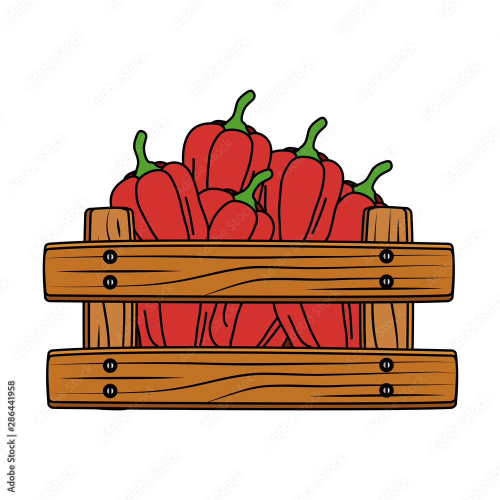 fresh pepper vegetable in wooden box fresh pepper vegetable in wooden box