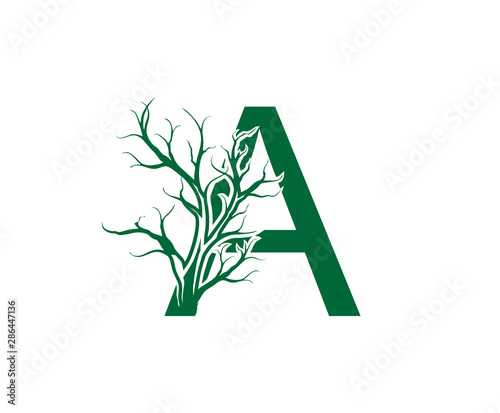 Abstract Letter A Nature Nature Dead Tree Logo Icon. 