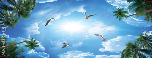 3d sky and clouds ceiling