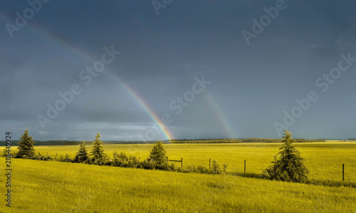 paisaje en un día lluvioso con un arco iris de colores, rojo, amarillo, verde, azul, morado, con un cielo azul intenso, lleno de nubes, con un campo de tonos amarillos en Edson Alberta Canadá