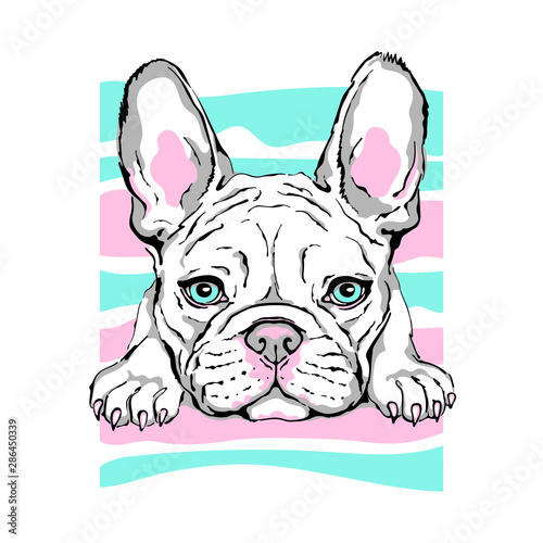 Vector illustration with cute french bulldog in bright colors. cartoon dog. Drawn puppy. Can be used as a print for clothes.