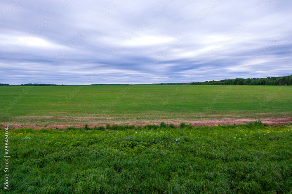 large green field and forest