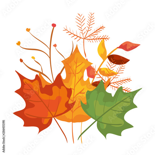 autumn branch and dry maple leafs decoration
