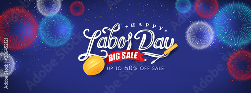 fireworks banner for Labor day sale promotion advertising banner template.American labor day wallpaper.voucher discount.Vector illustration .