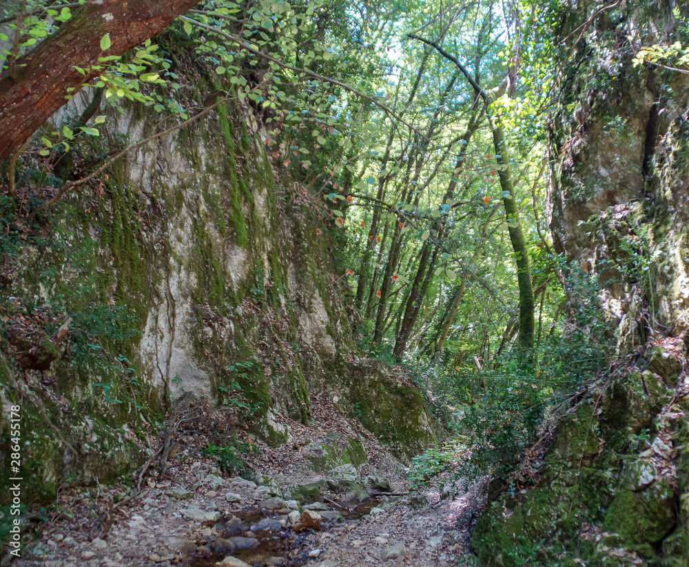 Fototapeta premium Vista lungo il sentiero 168 Gola di Jana da Braccano