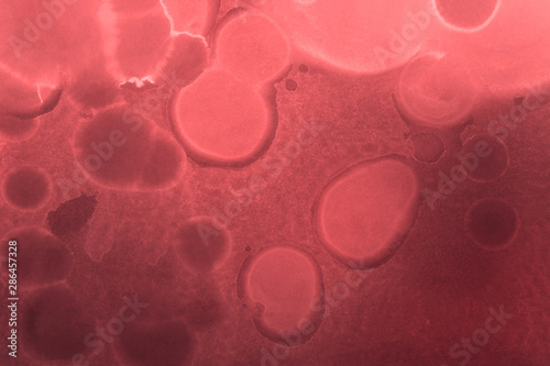 Wallpaper Mural Hand painted alcohol ink background. Abstract red blood texture. Contemporary feminine wallpaper.  Torontodigital.ca