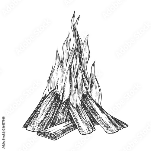 Traditional Burning Bonfire Monochrome Vector. Hiking Fiery Wooden Sticks Bonfire Fireplace. Hot Forks Of Flame And Wood Timber Hand Drawn In Retro Style Black And White Illustration