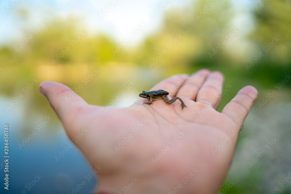 little river flog in hand