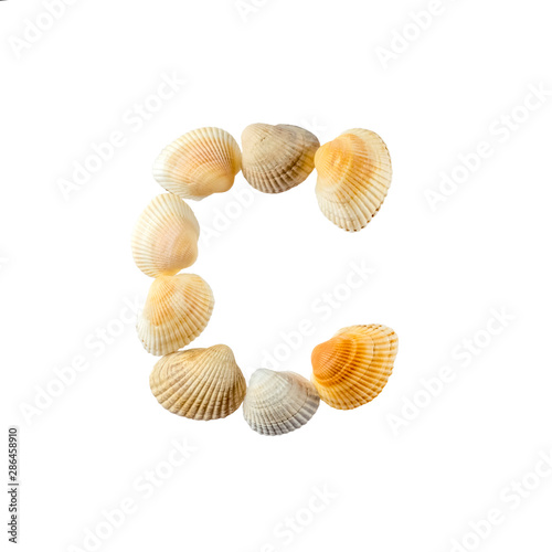 Letter "c" composed from seashells, isolated on white background