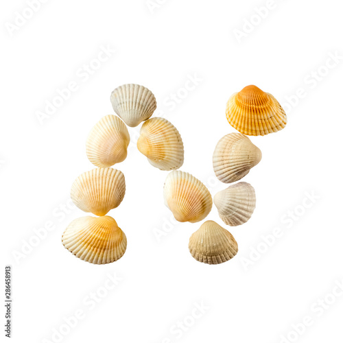 Letter "n" composed from seashells, isolated on white background