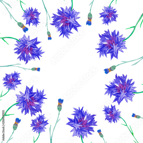 Framework of watercolor blue cornflowers