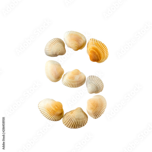 Letter "s" composed from seashells, isolated on white background