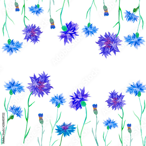 Framework of watercolor blue cornflowers