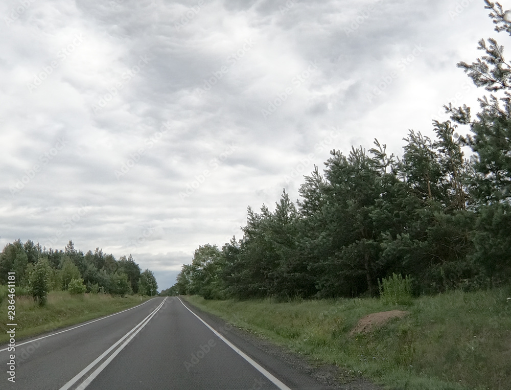 Droga asfaltowa przez las