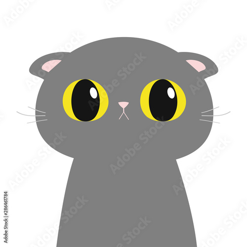 British Shorthair cat round head face, body. Cute funny cartoon character. Big yellow eyes. Sad emotion. Kitty Whisker Baby pet collection. White background. Isolated. Flat design.