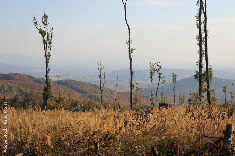 Obraz premium view of mountains