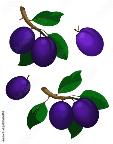 plums with leaves