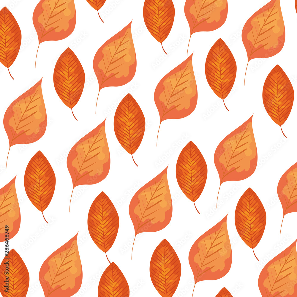 autumn dry leafs nature pattern autumn dry leafs nature pattern