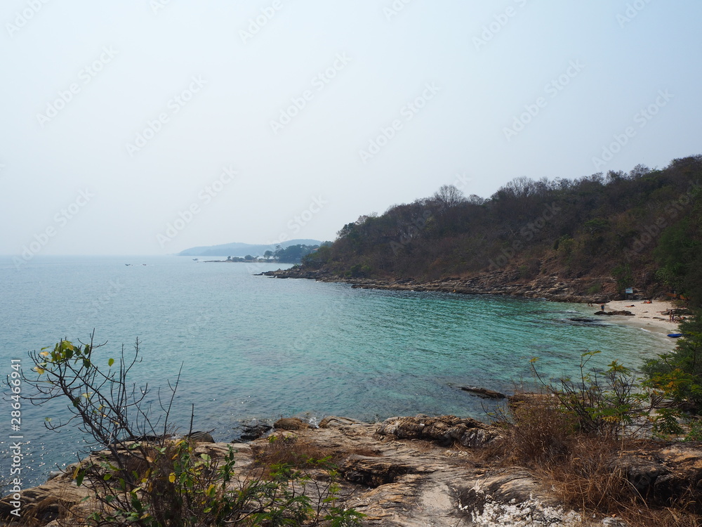 Fototapeta premium OLYMPUS DIGITAL CAMERA